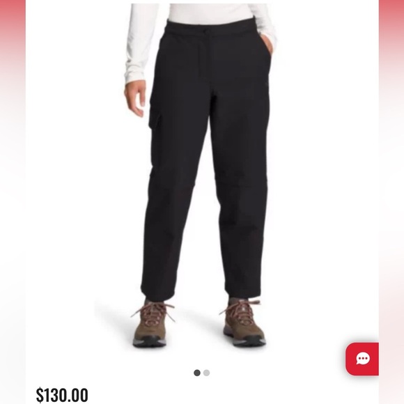 The North Face Camden Soft-Shell Pants - Women's - Picture 1 of 11